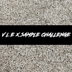 V L E X  SAMPLE CHALLENGE