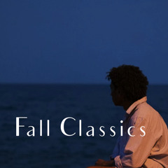 Chocolate Raspberries