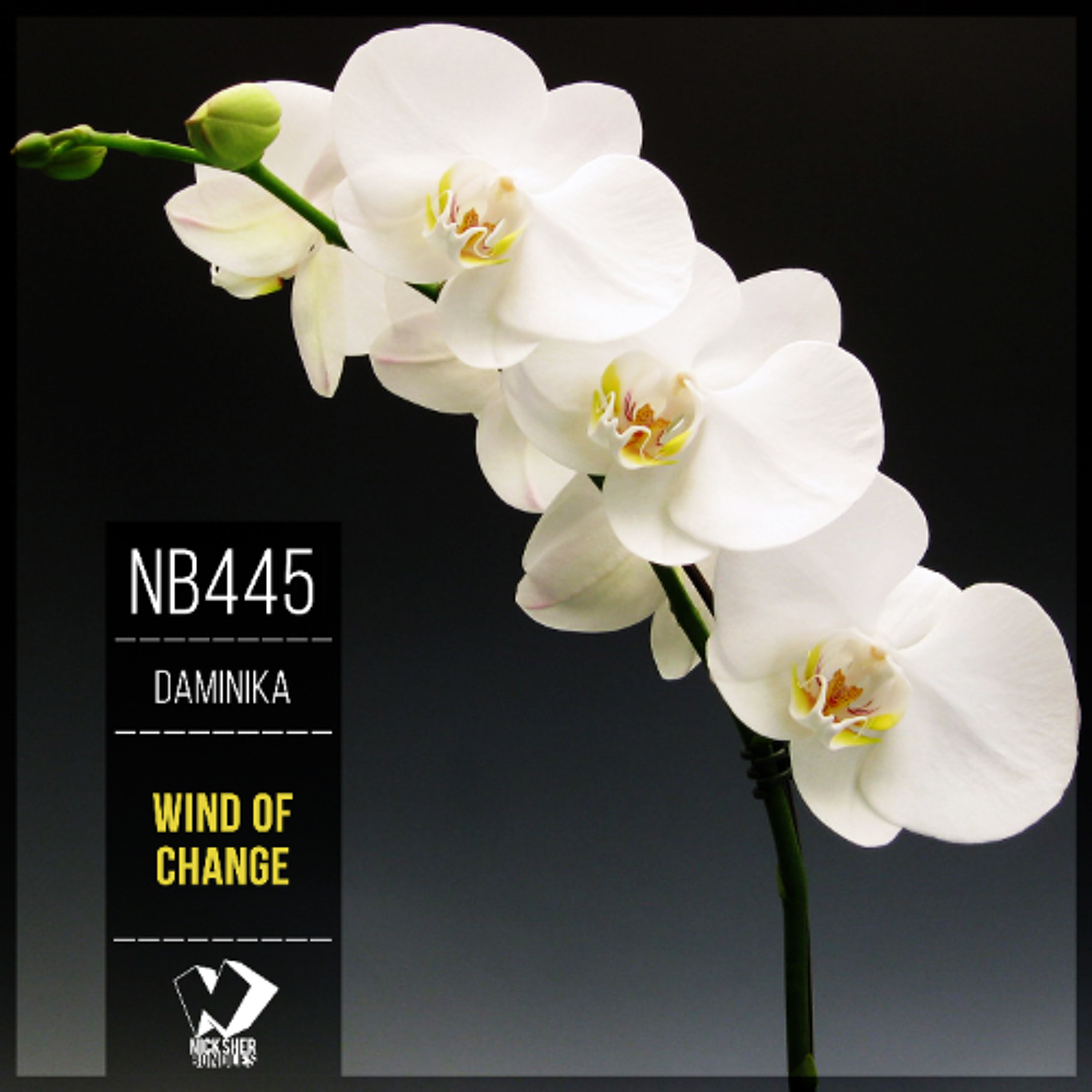 Daminika - City Without You (Original Mix) episode artwork