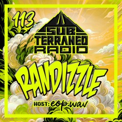 SubTerraneo Radio Ep.113:Randizzle