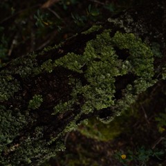 CODECAST X - Mateo Hurtado - Esoteric Enchantment