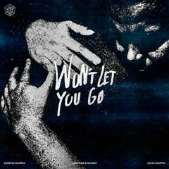 Martin Garrix - Won't Let You Go (Luke Leon Remix)