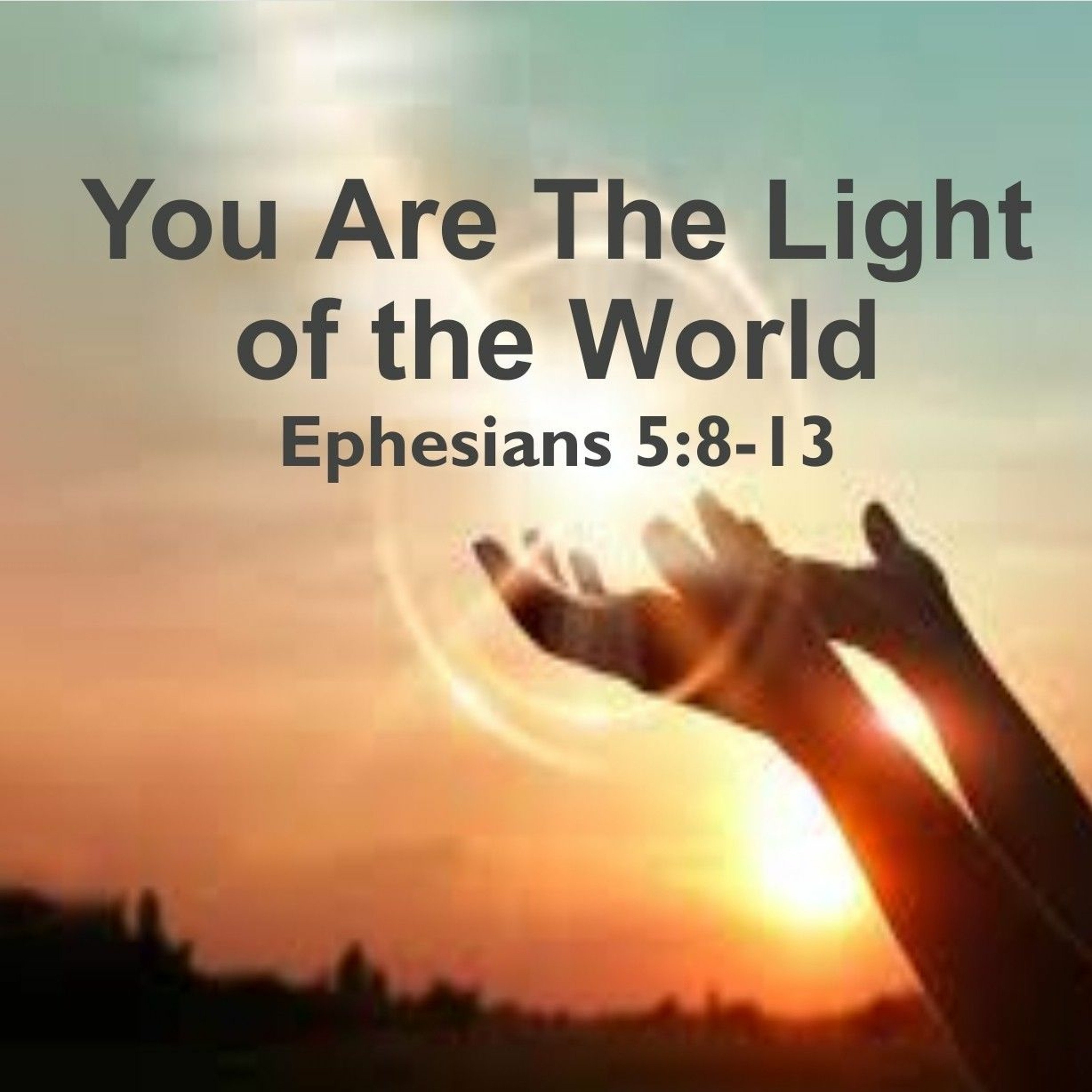 SMS 01/28/24 You Are The Light of the World Part 2 episode artwork