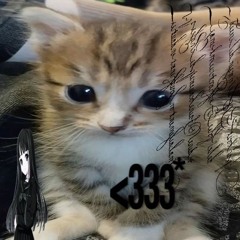 fuk"xanax"only u(Alfie snapped)