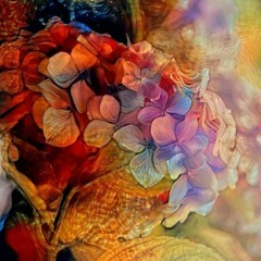 Immer wieder wächst das Gras - Gundermann Cover