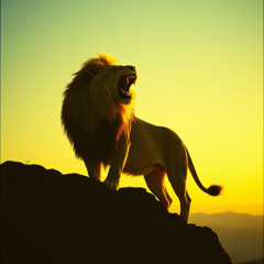 Rise Up High