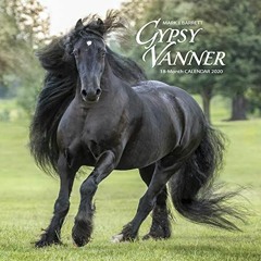 VIEW [EBOOK EPUB KINDLE PDF] Gypsy Vanner Horse 2020 Wall Calendar by  Willow Creek P
