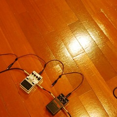 The First Song (Demo)