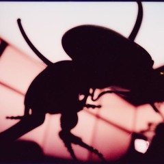 HELL @DropɅllien 👽 *SUPREME* [VENDIDO/SOLD]