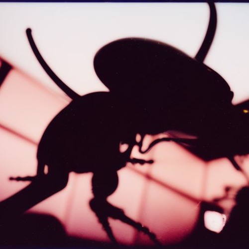 HELL @DropɅllien 👽 *SUPREME* [VENDIDO/SOLD]