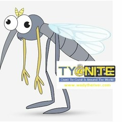 TY AT NITE -  "MOSQUITO'S SUCK"!  LITERALLY = MOSQUITO RANT