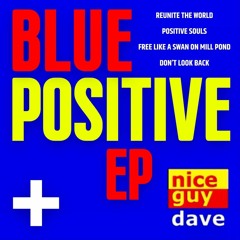 Nice Guy Dave - Positive Souls