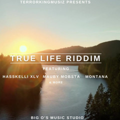 True Life Riddim - Instrumental