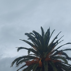 blurry prod 5kjordn1