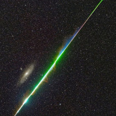 The Dankus Experiment Vol. 1