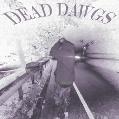 Dead Dawgs (Prod. TNS 1LL W1LL x TNS B-STAR)