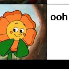 the chain fleetwood mac cover