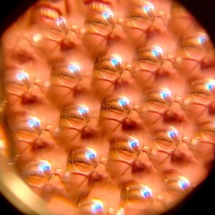 PRE-RAVE RAVERAVE - nicolamingrone b2b TinaTurnup b2b DJDJ