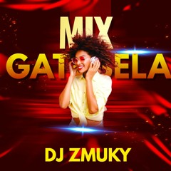 MIX GATUBELA - DJ ZMUKY