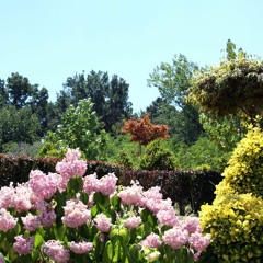 By His Own Hand- my creation song