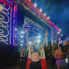 Symmetry Festival DJ Silly Goose Submission