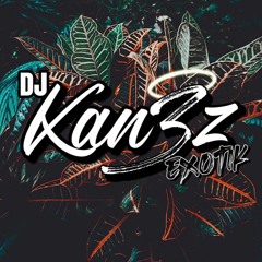 DJ KAN3Z ft WILD JAY - CAR SEAT [MOOMBAH CHILL 2020]