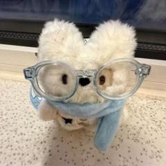 2025 느좋 클럽 믹셋 2