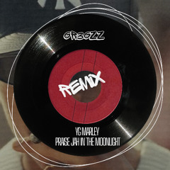 YG Marley - (GR3GZZ REMIX) praise jah in the moonlight
