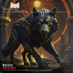 Batista - Like A Wolf (Le Son Du Placard Remix)