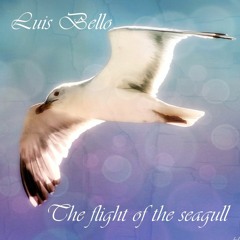 THE FLIGHT OF THE SEAGULL