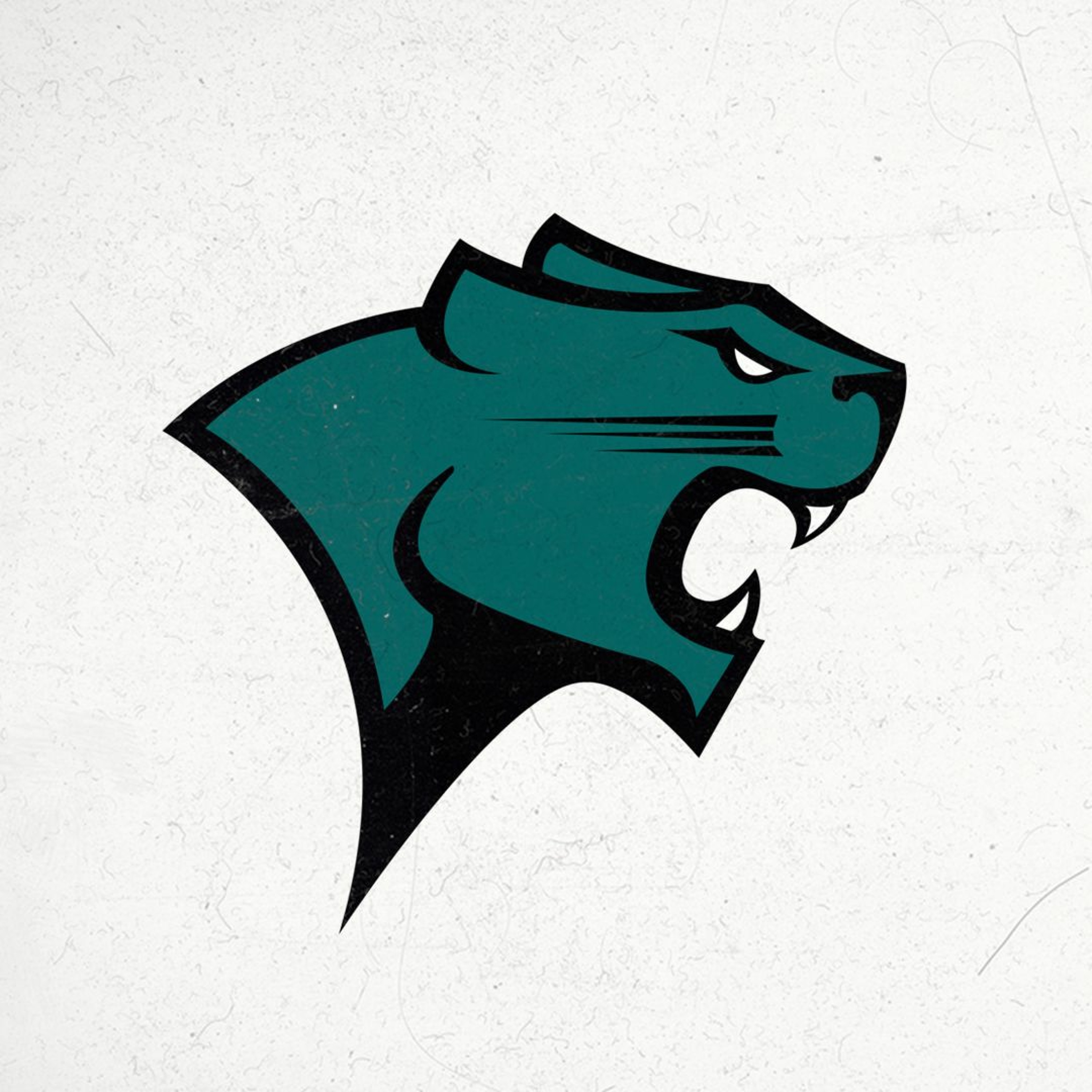 Chicago State Women's Basketball Segment episode artwork