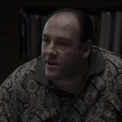 remember the first time i came here - sopranos