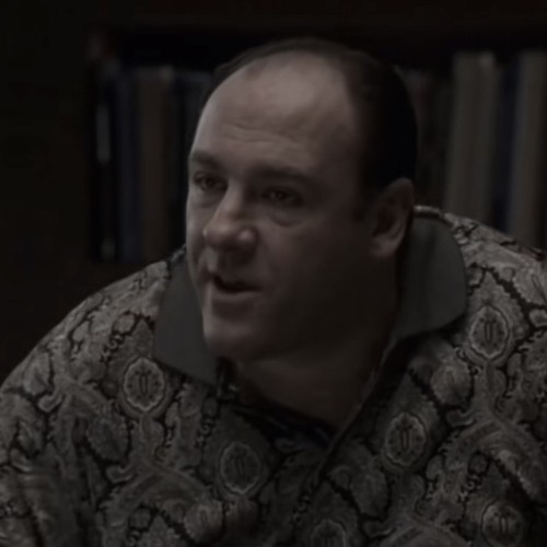 remember the first time i came here - sopranos