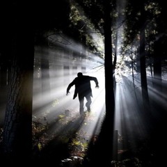 Highlevler - Studio 77