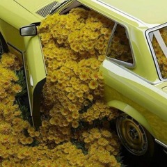 It Was A Good Level (Ice Cube x Mac DeMarco)