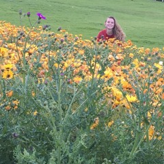 donwella // Coop Audio Greener Pastures Mix