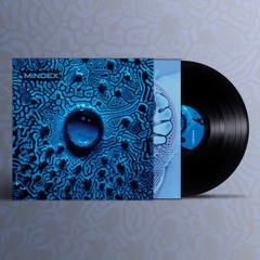 FLUIDITY LP (Mini Mix) NEW VINYL IS HERE!
