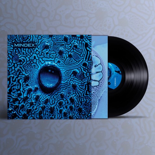 FLUIDITY LP (Mini Mix) NEW VINYL IS HERE!