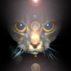 Believe In Yourself 2025