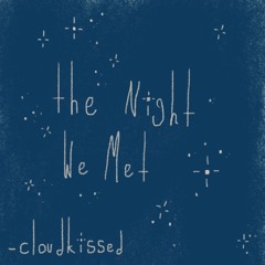 the night we met