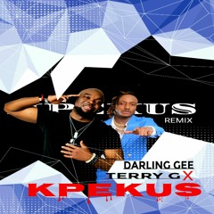 DARLING GEE FT TERRY G-KPEKUS