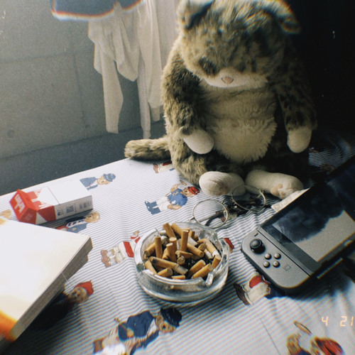 Stream カネコアヤノの祝日 By なおおにとうへい Listen Online For Free On Soundcloud