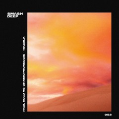 Paul Kold vs. Gramophonedzie - Tequila