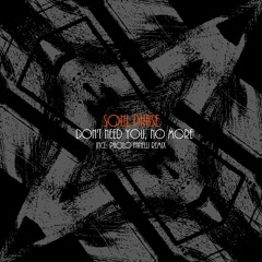 Soul Phase - Don't Need You, No More (PAOLO FANELLI REMIX) SNIPPET