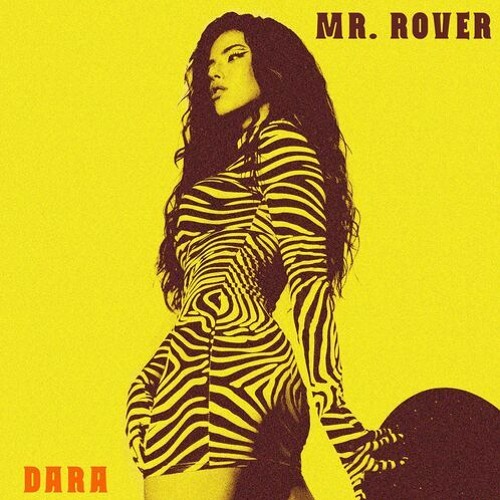 DARA - ROVER