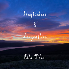 Kingfishers and Dragonflies
