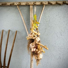 Deadfall Meditation 01