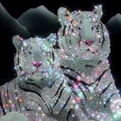 Northland Sparkle PARTY 2023
