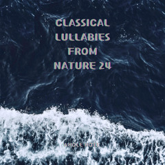 Wolfgang Amadeus Mozart : Requiem In D Minor K.626 - Kyrie Eleison