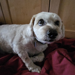 I need mercy at the train station.wav